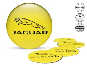 Jaguar Adesivi Cupola Resina Loghi Cerchio Gara